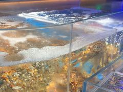 -徐记海鲜(大雁塔|金都店)