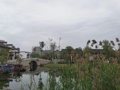 -洋湖国家湿地公园