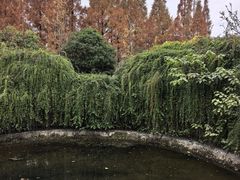 -成都南湖公园