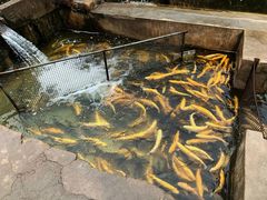 -北京水岸山吧度假村(雁栖镇店)