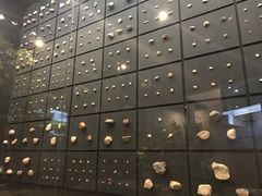 -北京周口店北京人遗址博物馆
