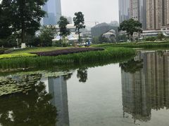 -花果园湿地公园