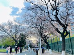 -吉林大学(南岭校区)