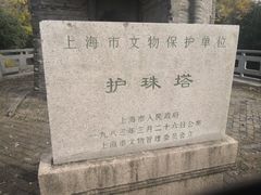 -上海佘山国家森林公园天马山园