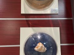 -青岛贝壳博物馆