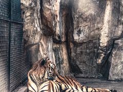 -南昌动物园