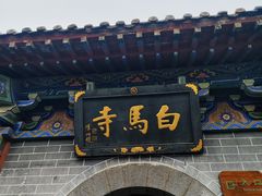 -洛阳白马寺