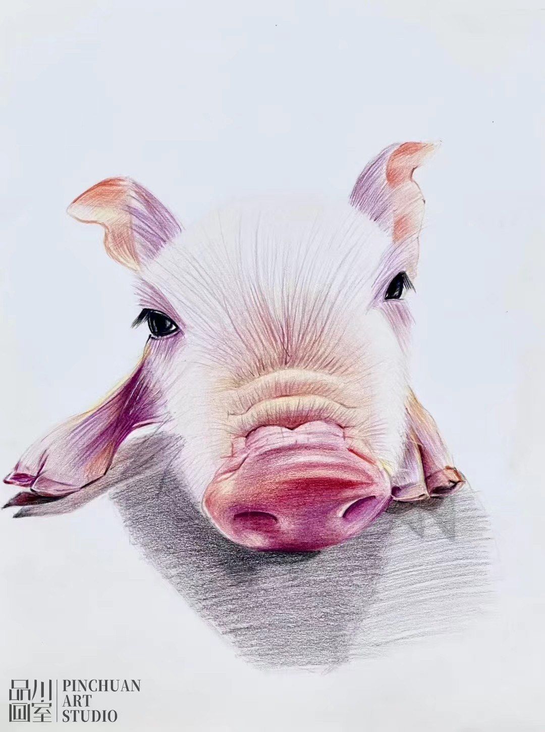 日常练习彩铅小猪
#奇妙的动物 #小动物 #彩铅#画画#零基础学画画