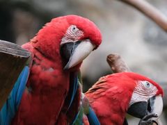 -杭州野生动物世界