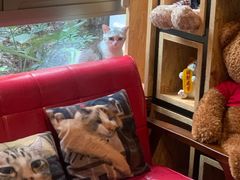 -咖法森林·咖啡  酒吧(天河店)