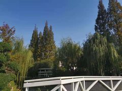 -兰溪青年公园