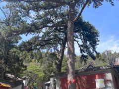 -阳台山自然风景区