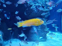 -成都浩海立方海洋公园