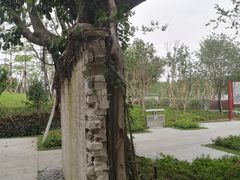 -王借岗森林公园