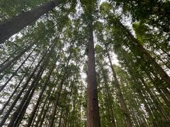 -南京金牛湖风景区