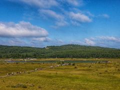 -塞罕坝国家级自然保护区