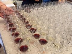 -北京张裕爱斐堡酒庄