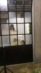 -iplus爱家高端孕妇摄影