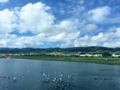 -青海湖国家重点风景名胜区售票处