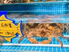 -韩记海鲜饺子旗舰店(红海新区店)