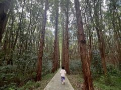 -同里国家湿地公园