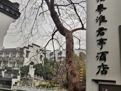 -南京夜泊秦淮君亭酒店·金陵书画院