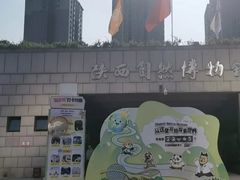 -陕西自然博物馆