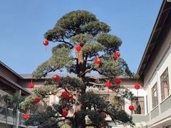 -聚福宝合苑食府(南头镇店)