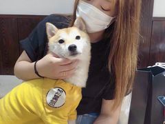 -逗柴咖啡屋·狗咖猫咖宠物桌游