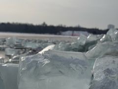 -长春市南湖公园