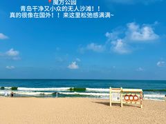 -单家老院·院子里的青岛菜(沙子口店)