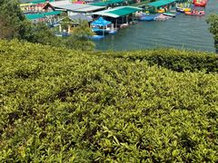 -千岛湖-欢乐水世界