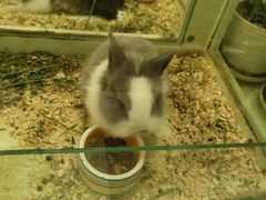 -龙猫仔乐园(惠福东路店)