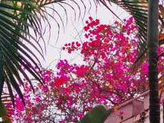 -人民公园(罗湖区)