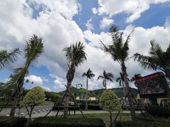 -亚龙湾国际玫瑰谷