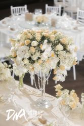 -DNA Wedding 婚礼记(上海店)