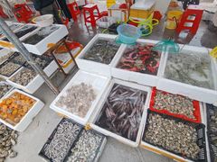 -万尾金滩