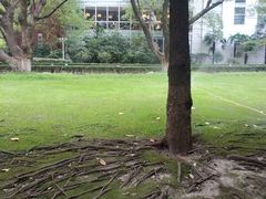 -中国海诚工程科技股份有限公司