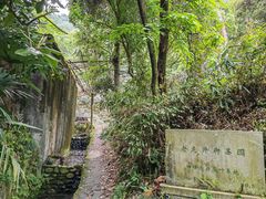 -十八棵（老龙井）御茶园(老龙井店)