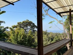 -清迈丛林飞跃 JungleFlight