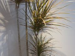 -争渡心理咨询全国连锁(福田店)