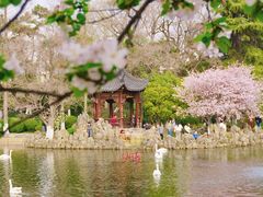 -莫愁湖公园