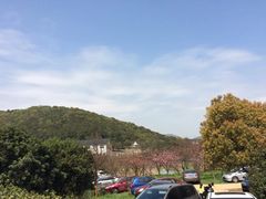 -龙寺生态园