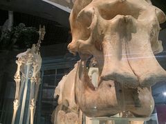 -东京国立博物馆