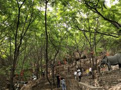 -山叶口景区