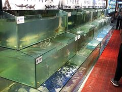 水产区-胖姐渔村(中源大道店)
