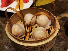 -金鼎轩(方庄天坛店)