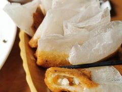 纸包豆腐-功夫兔
