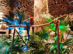 -杭州开元森泊度假乐园