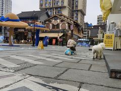 -重庆十八梯传统风貌区